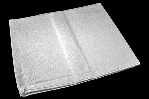 Sheet Disposable Drapes  2 ply (40" x 48")  100 Ea/Cs